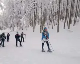 Gruppo di escursionisti con racchette da neve nel bosco innevato dell'Amiata, godendosi una giornata di sci e natura.