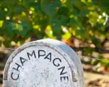 Ein Stein markiert das Gebiet, woher Champagner kommt. Weinreben im Hintergrund.