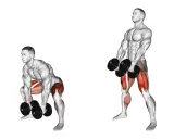 Homme faisant un soulevé de terre roumain avec haltères, ciblant le muscler interieur cuisse.