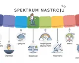 Spektrum nastroju: od depresji psychotycznej, przez dystymię, stabilność, podprogowe objawy manii, hipomanię, aż po manię i manię psychotyczną.