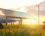 Panele słoneczne i wiatraki na tle zachodzącego słońca. W trawie leży kawałek drewna. To przyszłość energetyki, gdzie cable pooling zapewnia zrównoważony rozwój.