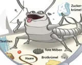 Ein fröhlicher Silberfisch frisst Zucker, Textilien, Haare, tote Milben und Brotkrümel. Warum Silberfische so beliebt sind? Sie sind Allesfresser!
