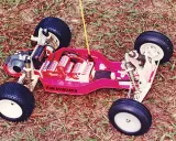 Ein ferngesteuertes Auto von Team Associated mit Batterien und Reifen auf Gras.