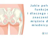 Anatomia miednicy, ilustracja przedstawiająca kości miedniczne i kręgosłup krzyżowy, z tekstem pytającym o funkcje mięśni dna miednicy.