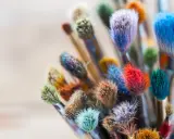 Bunte Pinsel, die darauf warten, wieder weich zu werden und neue Kunstwerke zu schaffen.
