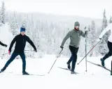 Fyra personer åker **långlopp skidor** i ett snöigt landskap med skog i bakgrunden.
