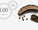 Il carrubo, da cui deriva il carato, mostra quanto è grande un carato: 1.00 carato equivale a 0.20 grammi.