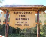 Drewniana brama z napisem "Babiogórski Park Narodowy" zaprasza do odkrywania **zawoja atrakcje**.