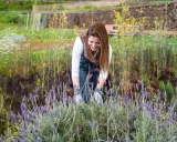 Une femme souriante travaille dans un champ de lavande. Elle semble se demander quelle terre pour la lavande afin d'obtenir la meilleure récolte.
