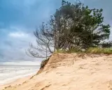 Piaszczysta wydma z sosnami, morze i chmury. To może być najpiękniejsza plaża w Polsce.