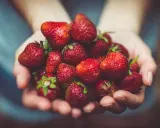 Hände halten eine Fülle saftiger Erdbeeren. Sind Erdbeeren gut zum Abnehmen? Ja, sie sind kalorienarm und voller Vitamine!