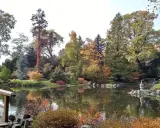 Jesienna odsłona jednego z najpiękniejszych ogrodów botanicznych w Polsce. Drewniany mostek, staw z odbiciami drzew i kamienna latarnia tworzą malowniczy krajobraz.