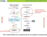 La pipeline di sequenziamento dell'esoma, con esoma cos'è, mostra i passaggi biologici e bioinformatici per analizzare il DNA.