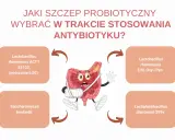 Grafika przedstawia jelita w bandażach, obok nich cztery rodzaje probiotyków, które mogą pomóc w odbudowie flory bakteryjnej po antybiotykoterapii.