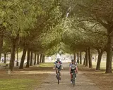 Due ciclisti pedalano su una ciclabile a Ravenna, immersi in un viale alberato di pini marittimi.