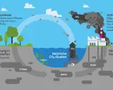 Der Kreislauf von biogenem CO2: Pflanzen nehmen CO2 auf, während Industrie und Verkehr es emittieren. Natürliche Quellen und fossile Rohstoffe spielen eine Rolle.