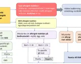 Flödesschema för misstänkt matallergisk reaktion hos bebis. Utredning av symtom, tester och remiss.