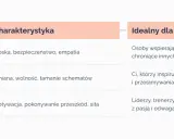 Przykłady archetypów: Opiekun (troska, empatia), Buntownik (zmiana, wolność), Bohater (motywacja, siła).