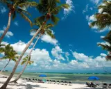 Palmen säumen einen weißen Sandstrand mit Liegestühlen und blauen Sonnenschirmen am türkisfarbenen Meer unter blauem Himmel.