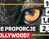 Jak zrobić zdjęcie z filmu? Klatka 4K krok po kroku!