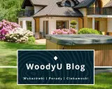 Jacuzzi do domu? Przewodnik po SPA: typy, koszty, jak wybrać