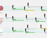 Diagrama ilustra la función del ARN en músculo, intestino y neurona, mostrando la activación y expresión de genes con semáforos.