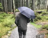 Mann mit Regenschirm im Wald. Die drohnen wetter app hat Regen vorhergesagt, also ist er vorbereitet.