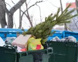 Po świętach czas na porządki. Gdzie wyrzucić sztuczną choinkę? W tym przypadku zielona gałązka trafiła do śmietnika.