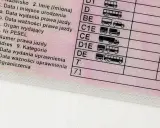 Fragment polskiego prawa jazdy z kategoriami pojazdów. Ktoś szuka zgubionego prawa jazdy, a tu widać tylko jego fragment.
