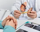 Lekarz wyjaśnia pacjentowi budowę nerki, omawiając szczegóły przed biopsją nerki.