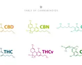 Tabela kannabinoidów: CBD, CBN, CBG, THC, THCV, CBC. CBG to jeden z kannabinoidów.