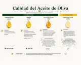 Comparativa de aceites de oliva: virgen extra, virgen, de oliva y orujo. Cada uno con su extracción y características.