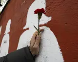 Un fiore rosso su un muro con sagome bianche, un omaggio alle vittime di femminicidio, cause psicologiche da affrontare.