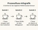 Infografik: 3 Schritte für täglichen Pfefferminztee-Konsum zur Unterstützung beim Abnehmen: morgens, mittags und abends.