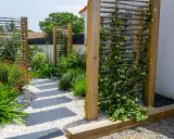 Un chemin de dalles grises serpente à travers un jardin luxuriant. Des treillages en bois servent de support à une plante brise vue grimpante, créant un espace intime.