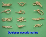 Divers nœuds marins faciles illustrés sur fond vert. Apprenez à faire un nœud marin facile pour vos besoins.