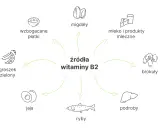 Wzbogacane płatki, migdały, mleko, brokuły, podroby, ryby, jaja i groszek zielony to źródła witaminy B2.