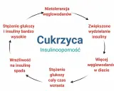Schemat cyklu cukrzycy i insulinooporności: nietolerancja węglowodanów, zwiększone wydzielanie insuliny, więcej węglowodanów w diecie, wzrost stężenia glukozy, spadek wrażliwości na insulinę, wysokie stężenie glukozy i insuliny.