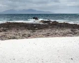 Arena blanca y rocas volcánicas en la playa Palomitas, Fuerteventura. El mar azul choca contra las rocas, con montañas al fondo.