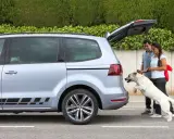 Pareja ayuda a su perro a subir al mejor coche para llevar perros, un monovolumen plateado con el maletero abierto.