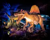 Figuras de dinosaurios realistas, incluyendo un Spinosaurus con su vela dorsal, en una exhibición nocturna en Madrid.