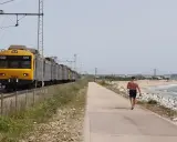 Gelber Zug fährt entlang der Küste von Cascais nach Lissabon. Ein Mann joggt am Strand entlang.