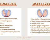 Infografía que explica la diferencia entre gemelos y mellizos, mostrando sus orígenes y características.
