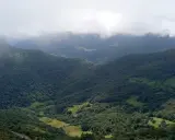 Majestuosas montañas cubiertas de bosque verde se elevan hacia un cielo nublado en el **valle de Liébana**.