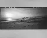 Spiaggia al tramonto con un albero contorto. L'**inkjet significato** è la stampa di questa immagine, catturando la malinconia del paesaggio.