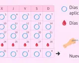Calendario muestra días con anillo y días de regla. Se puede retirar la regla tomando anticonceptivos.