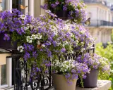 Des papillons butinent des lilas en pot sur un balcon parisien.