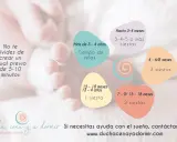 Guía de siestas para un bebé de 1 año y otras edades. Incluye consejos para rituales de sueño.