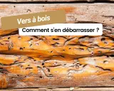 Le bois est criblé de trous, témoignage de la présence de vers à bois dangereux. Comment s'en débarrasser ?