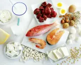 Variedad de alimentos ricos en proteínas: carne, pescado, marisco, huevos, lácteos, legumbres, frutos secos y tofu, fuentes de los 20 aminoácidos esenciales.